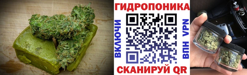 Canna-Cookies конопля  Динская 