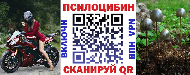 kraken ссылки  наркотики  Динская  Галлюциногенные грибы Magic Shrooms 