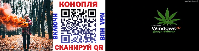 продажа наркотиков  мега зеркало  Бошки Шишки план  Динская 